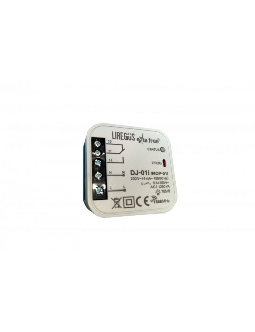 Wireless lighting control kit (class 1) with frame, black