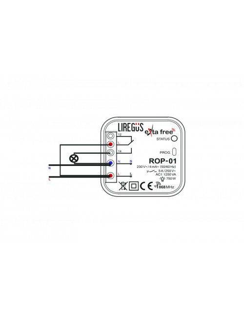Wireless lighting control kit (class 1) with frame, black