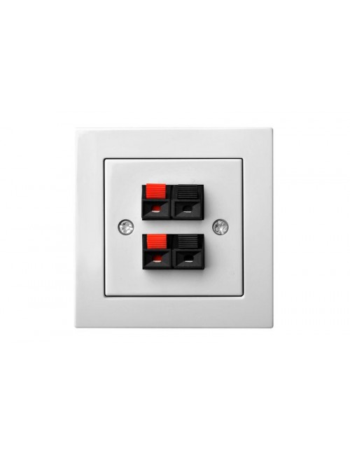 Socket, for sound system, double, without frame, white