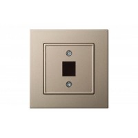 უნივერსალური RJ45, TV/HDMI/USB/S-Video/RCA შამპანურისფერი AIKL-011-01.E/CH
